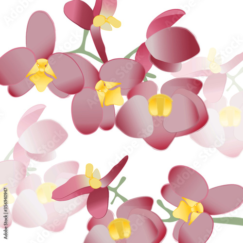 Orchid illustration in pastel colors. Vector file.