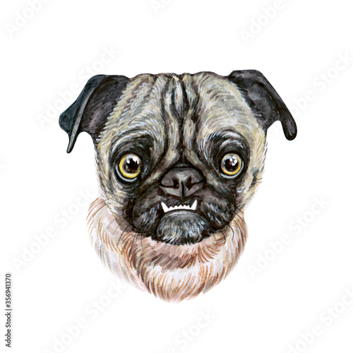 Watercolor illustration of a funny dog. Hand made character. Portrait cute dog isolated on white background. Watercolor hand-drawn illustration. Popular breed dog. Pug dog