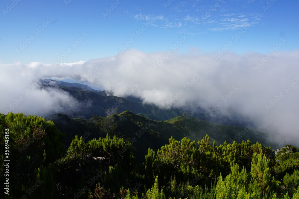 Madeira mountains, trekking to Pico Ruivo, Vereda PR 1.2