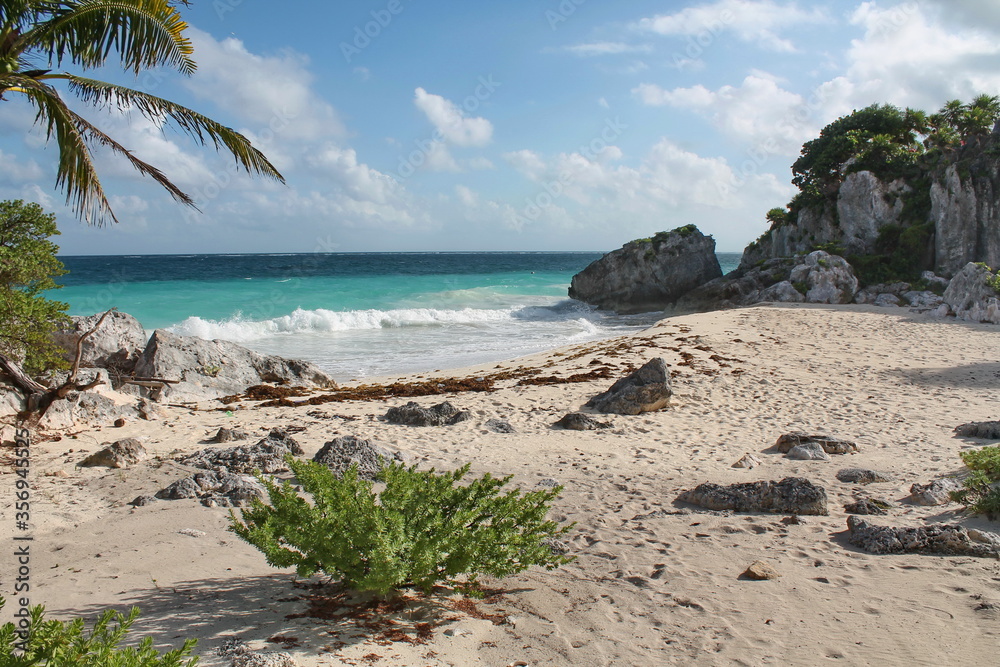 Beautiful beach of mexico. Wild beach. Traveling the world. Beautiful beach of mexico. Wild beach. Traveling the world.