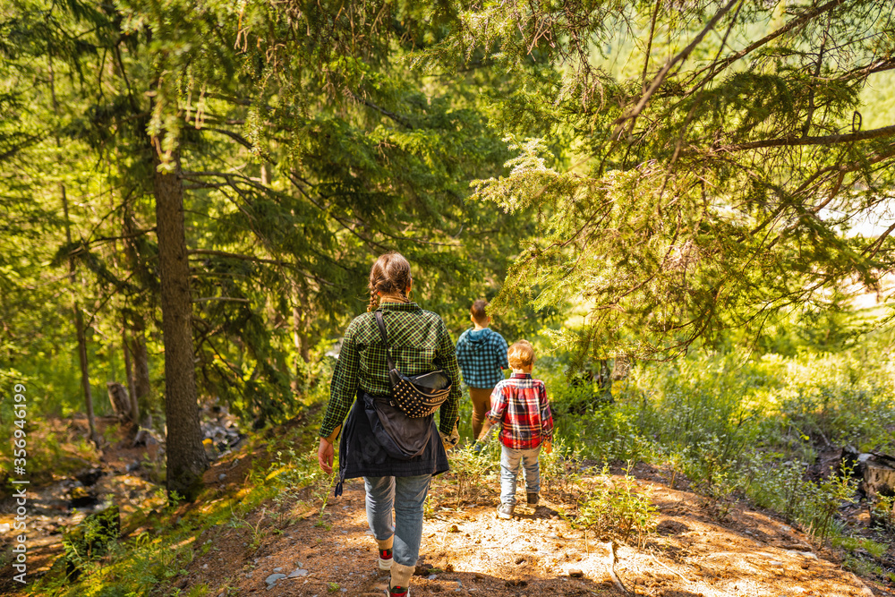 Fototapeta premium walking in the woods