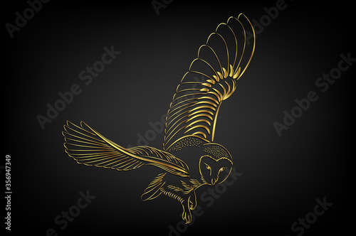 Barn owl flying over black background