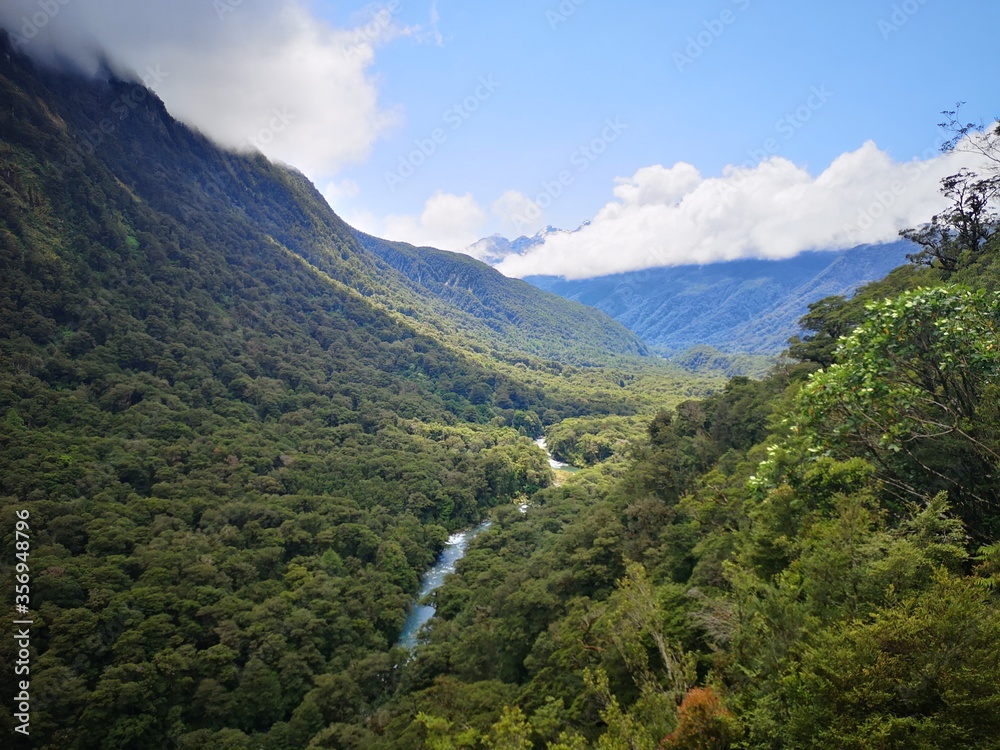 Bewaldetes Tal mit Fluss