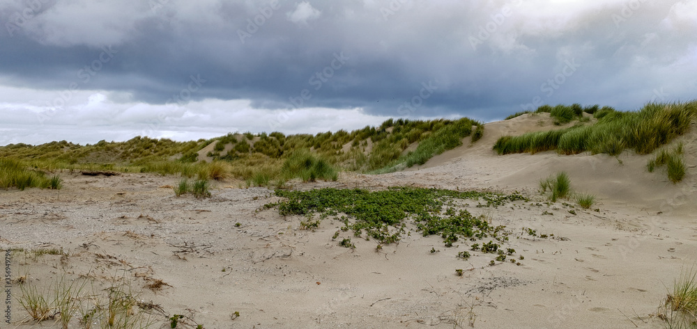 Horizontal daytime shot on a cloudy day of the dunes of Ameland (Island of The Netherlands) Horizontal daytime shot on a cloudy day of the dunes of Ameland (Island of The Netherlands)