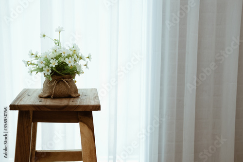 plant pot on wooden stool chair beside see through window curtain