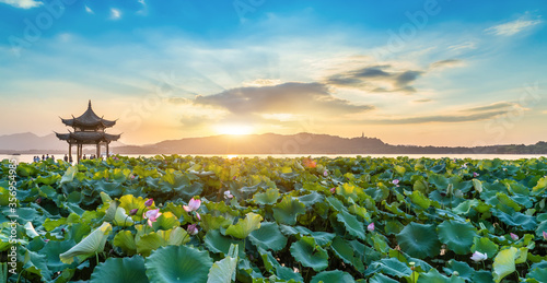 Hangzhou West Lake Garden natural landscape photo