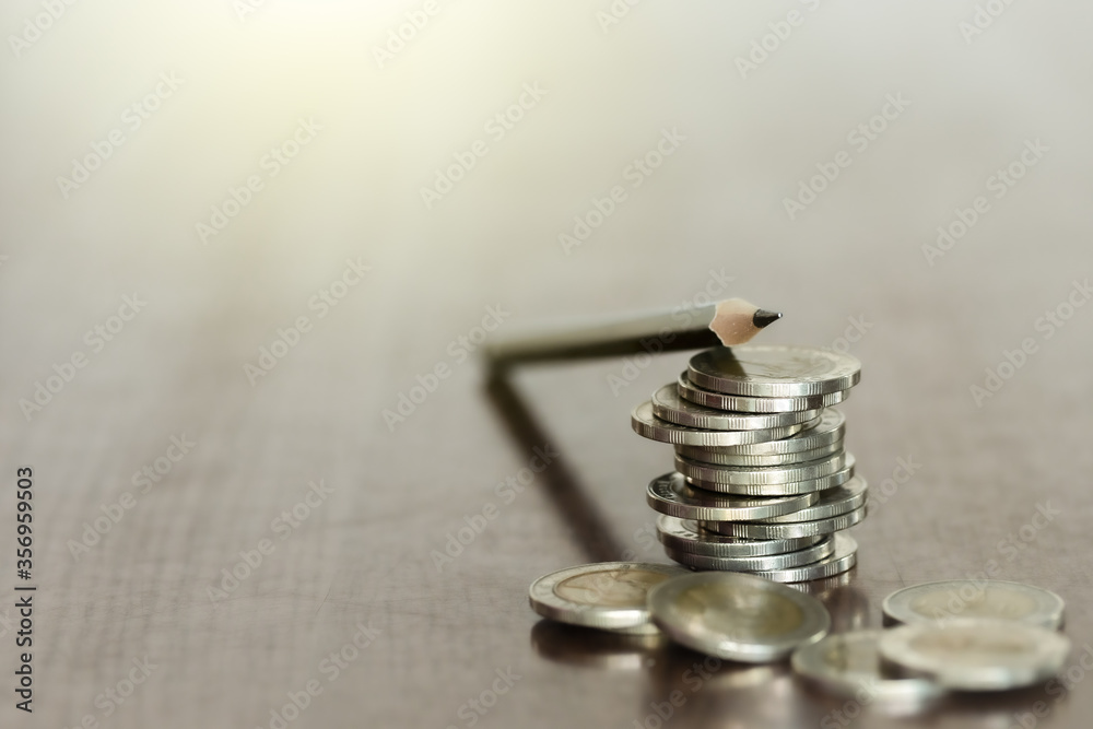 The close-up rows of money coins with a penci The close-up rows of money coins with a penci