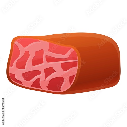 Meat product icon. Cartoon of meat product vector icon for web design isolated on white background