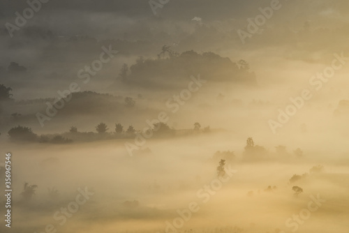 The fog is covered over the field and trees, Thailand.