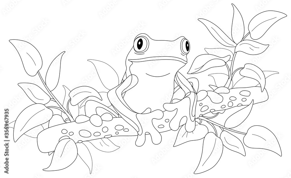 Funny poisonous tree frog sitting on a branch in a wild tropical jungle, black and white outline vector cartoon illustration for a coloring book page