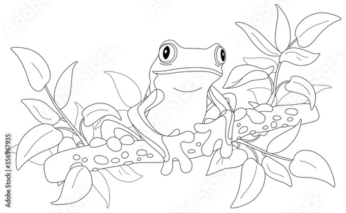 Funny poisonous tree frog sitting on a branch in a wild tropical jungle, black and white outline vector cartoon illustration for a coloring book page