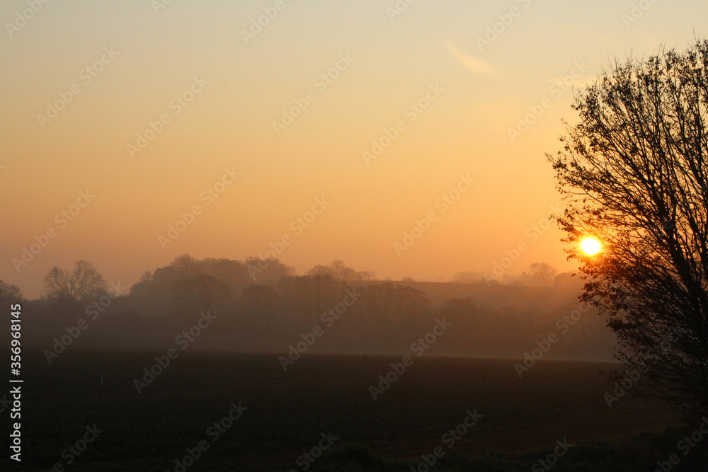 Obraz premium Foggy winter sunrise