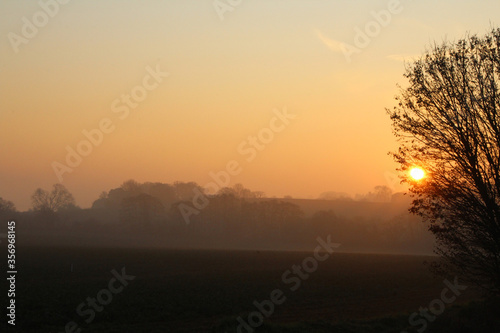 Foggy winter sunrise