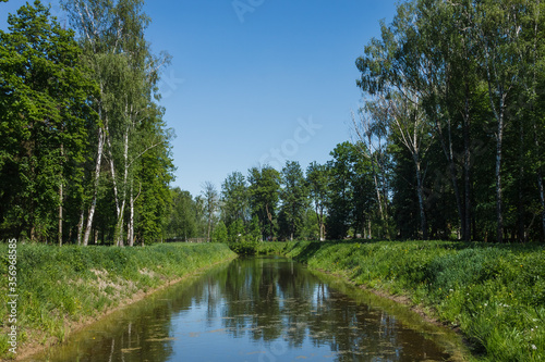 Canal in a city park. Spring landscape