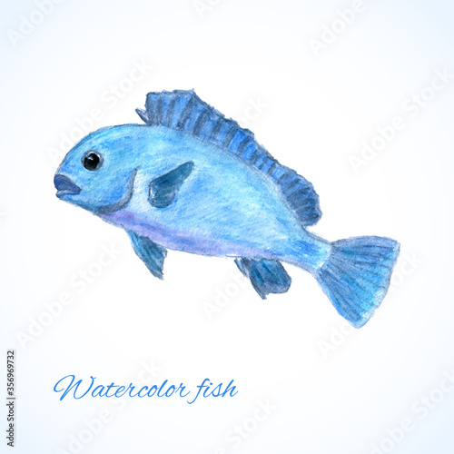 Watercolor fish