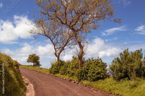 Sao Miguel  Azoren