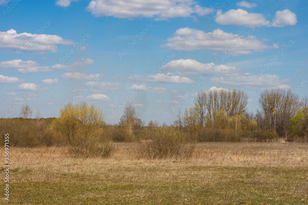 Spring landscape with view meadow with dry yellowed grass, forest and blue sky with clouds on a sunny day. Spring landscape with view meadow with dry yellowed grass, forest and blue sky with clouds on a sunny day.
