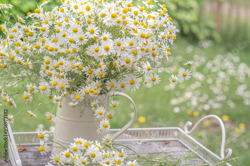 Fotografie Chamomile Bouquet in vase on bright daylight home gardening lifestyle