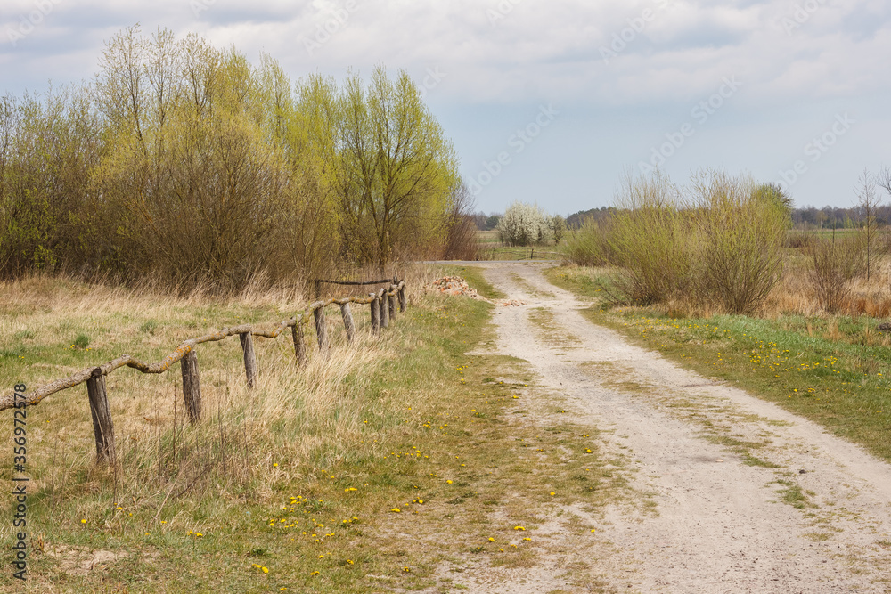 Fototapeta premium A fenced field and a dirt road leading to the forest. Spring landscape