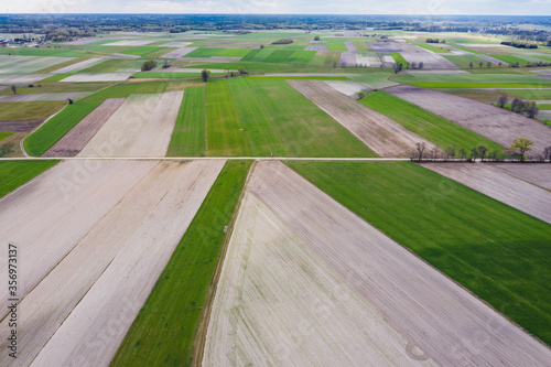 Drone view on a field patchwork in Mazowsze region of Poland