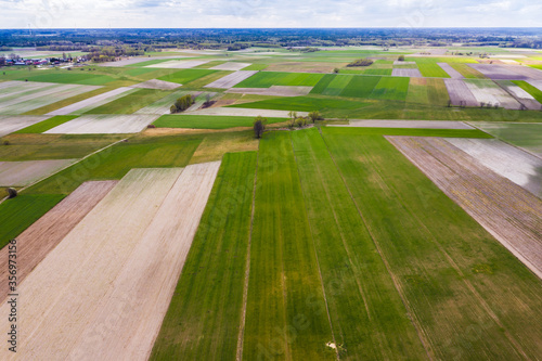 Drone view on a field patchwork in Mazowsze region of Poland