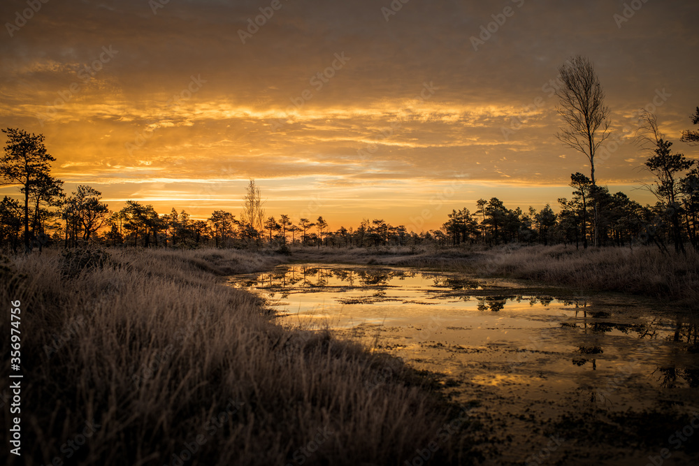 Small lakes in swamp fields. Early morning winter sunrise at golden hour. 