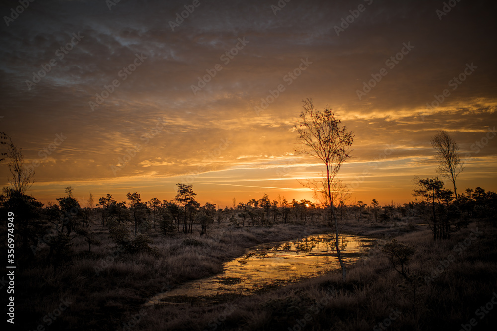 Naklejka premium Small lakes in swamp fields. Early morning winter sunrise at golden hour. 