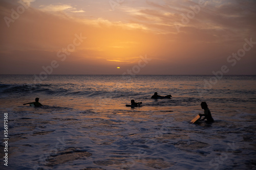 children surf, a group of young surfers catching waves on sunset time. Surfing and sport lifestyle, outdoors activities © Belen B Massieu