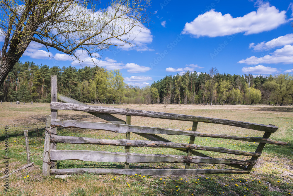 Wood gate on a grazing land in Mazowsze region of Poland