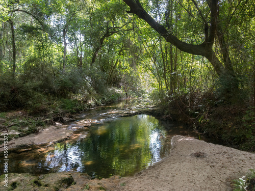 One Mile Branch, Valdosta, Georgia, USA