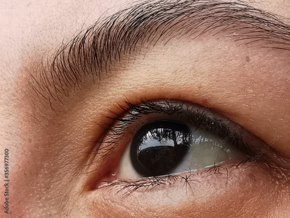 Obraz premium close up of eye