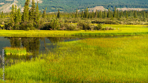 nature sceneries inside Jasper National Park, Alberta, Canada photo