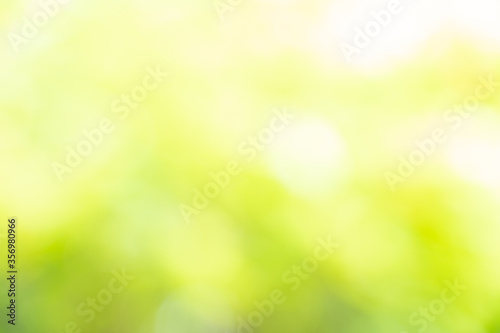 abstract background,abstract blur green color for background,blurred and defocused effect spring concept for design,nature view of blurred greenery background in garden using as background natural,fre