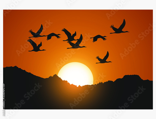 silhouette of birds flying over sunset