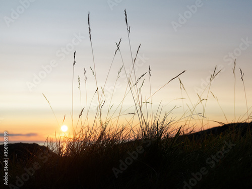 Sun rising through grass near the ocean in Atlantic Canada