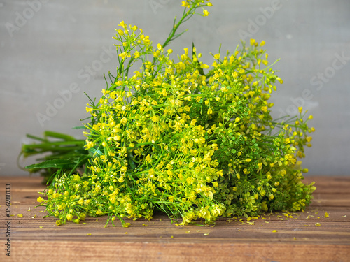 A bouquet of yellow wild rape, the collected bouquet lies on a table