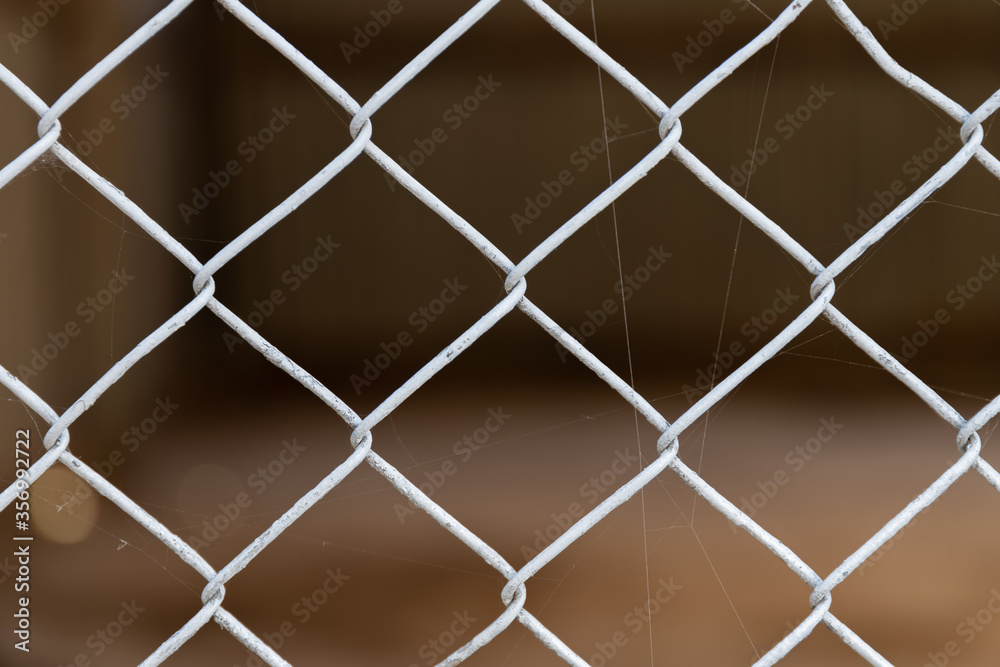 Fototapeta premium steel wire net fence