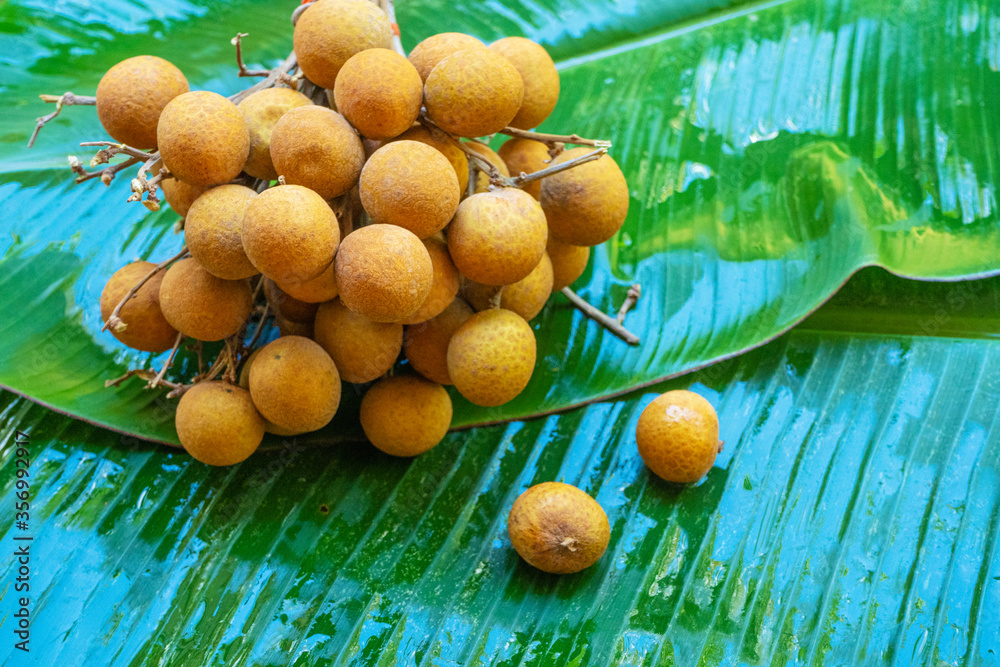 A bunch of longan branches on a background of green banana leaf. Vitamins, fruits, healthy foods
