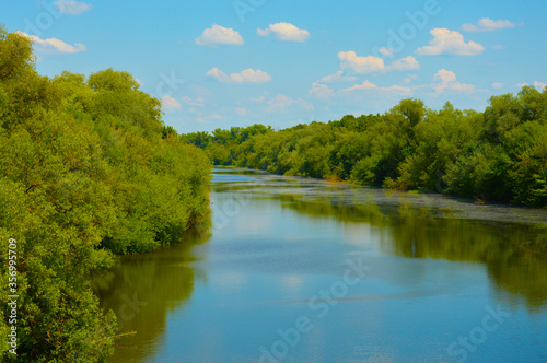 river, blue sky, white clouds and green trees. nature in summer.