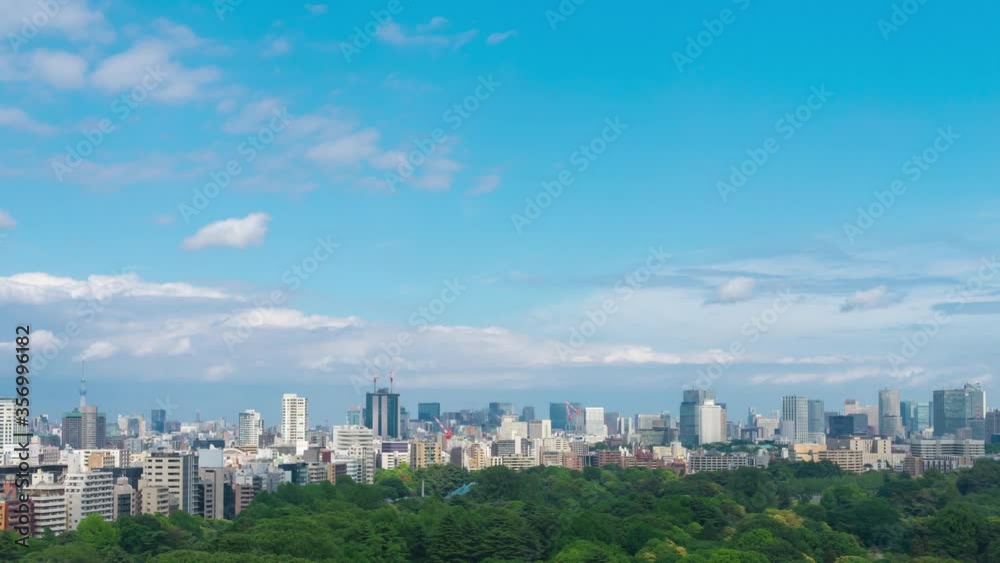 東京風景　春　タイムラプス