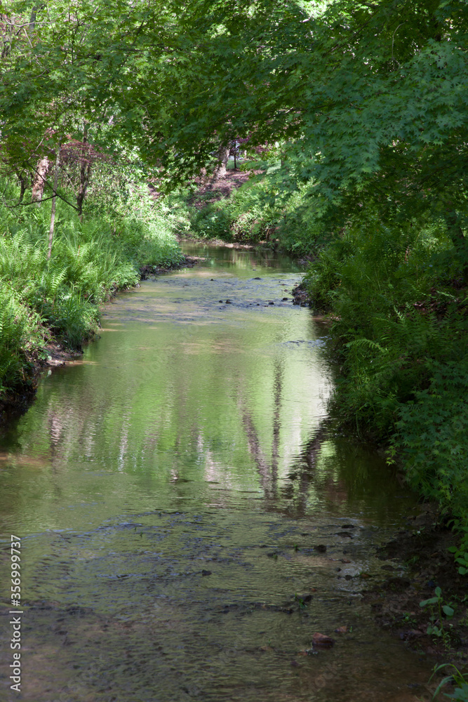 Reflected in Water