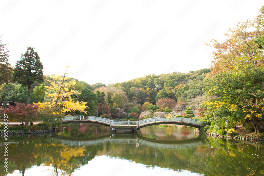 Japanese public park, garden style, autumn in Tokyo at Yakushiike Park, Machida city which is the new great 100 view of Tokyo. Japanese public park, garden style, autumn in Tokyo at Yakushiike Park, Machida city which is the new great 100 view of Tokyo.