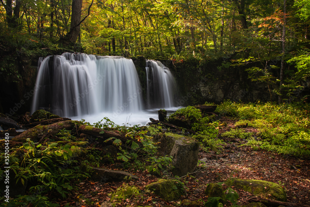 Fototapeta premium waterfall in the forest