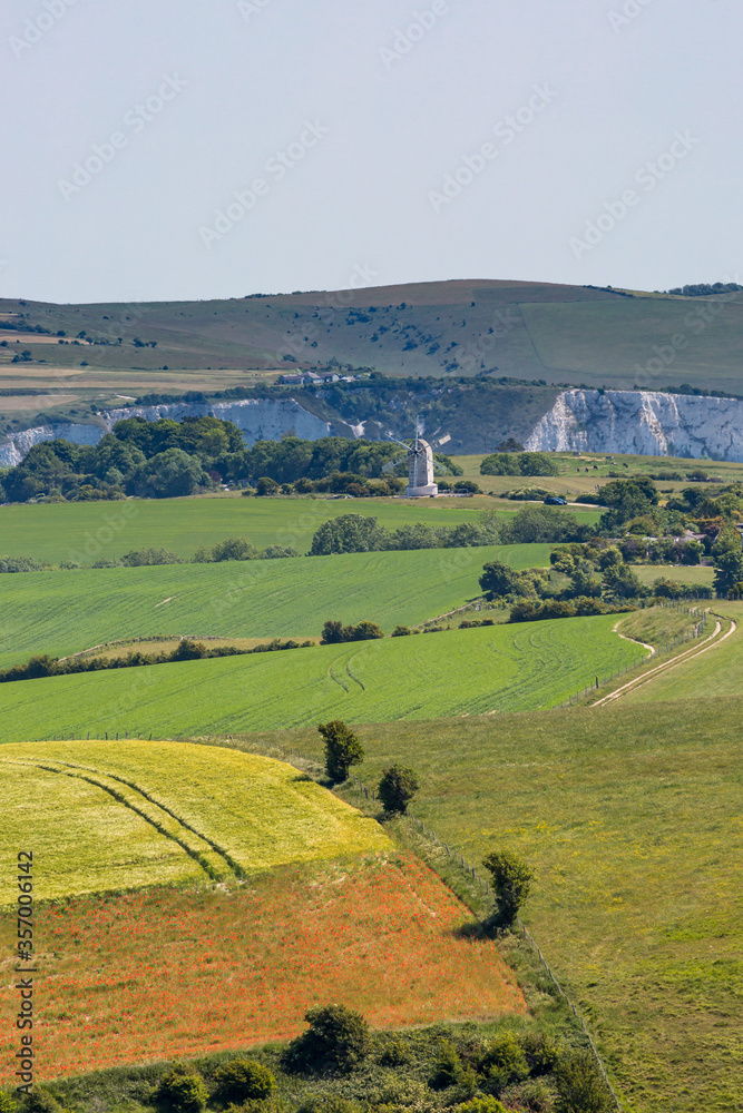 Naklejka premium Looking out over fields in the South Downs, on a sunny summers day