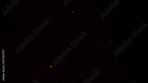 Light of fireflies flying on a summer night in Japan