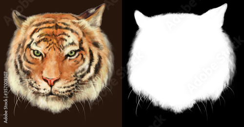 Fototapeta Naklejka Na Ścianę i Meble -  Royal Bengal Tiger head hand drawn digital painting with isolated alpha channel mask