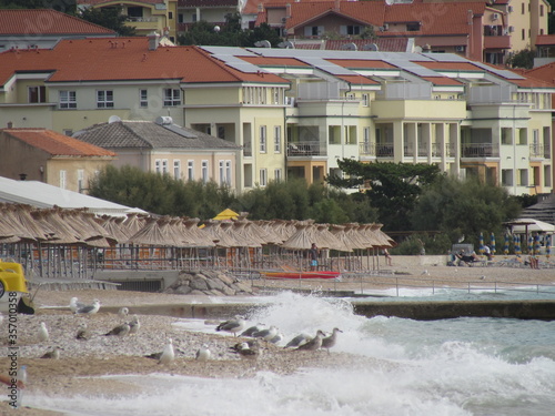 coastal landscape photo