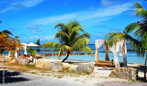 tropical paradise beach with palm trees and umbrellas Seychelles island © OLENA