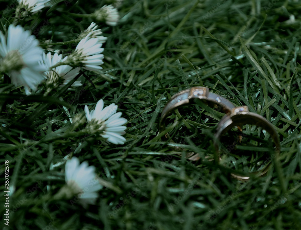 Obraz premium two wedding rings