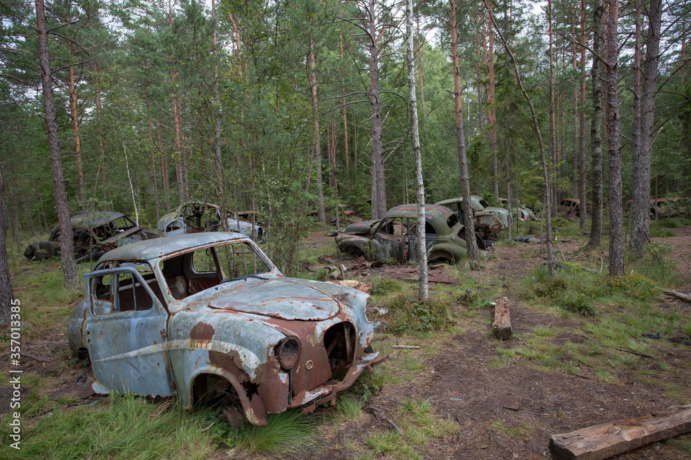Old cars in Sscrapyard in forest in Ryd Sweden Old cars in Sscrapyard in forest in Ryd Sweden